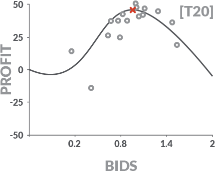 A graph depicting profit versus bids level T20